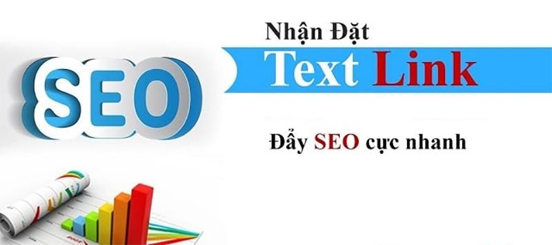 Công ty BNN Việt Nam chuyên dịch vụ Textlink báo